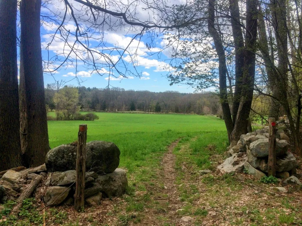 A peaceful path through nature